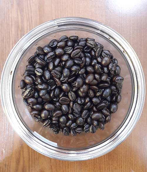 Cà phê nhập khẩu